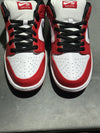 Nike SB Dunk Low Pro - Chicago J Pack Size 11