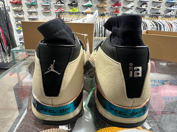 Air Jordan 17 Retro Low SP - Infinite Archives Size 10