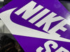 Nike Air Max 95 SB - Cactus Flower