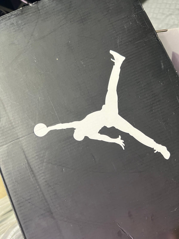 Air Jordan 11 Retro Low - Concord Size 10.5