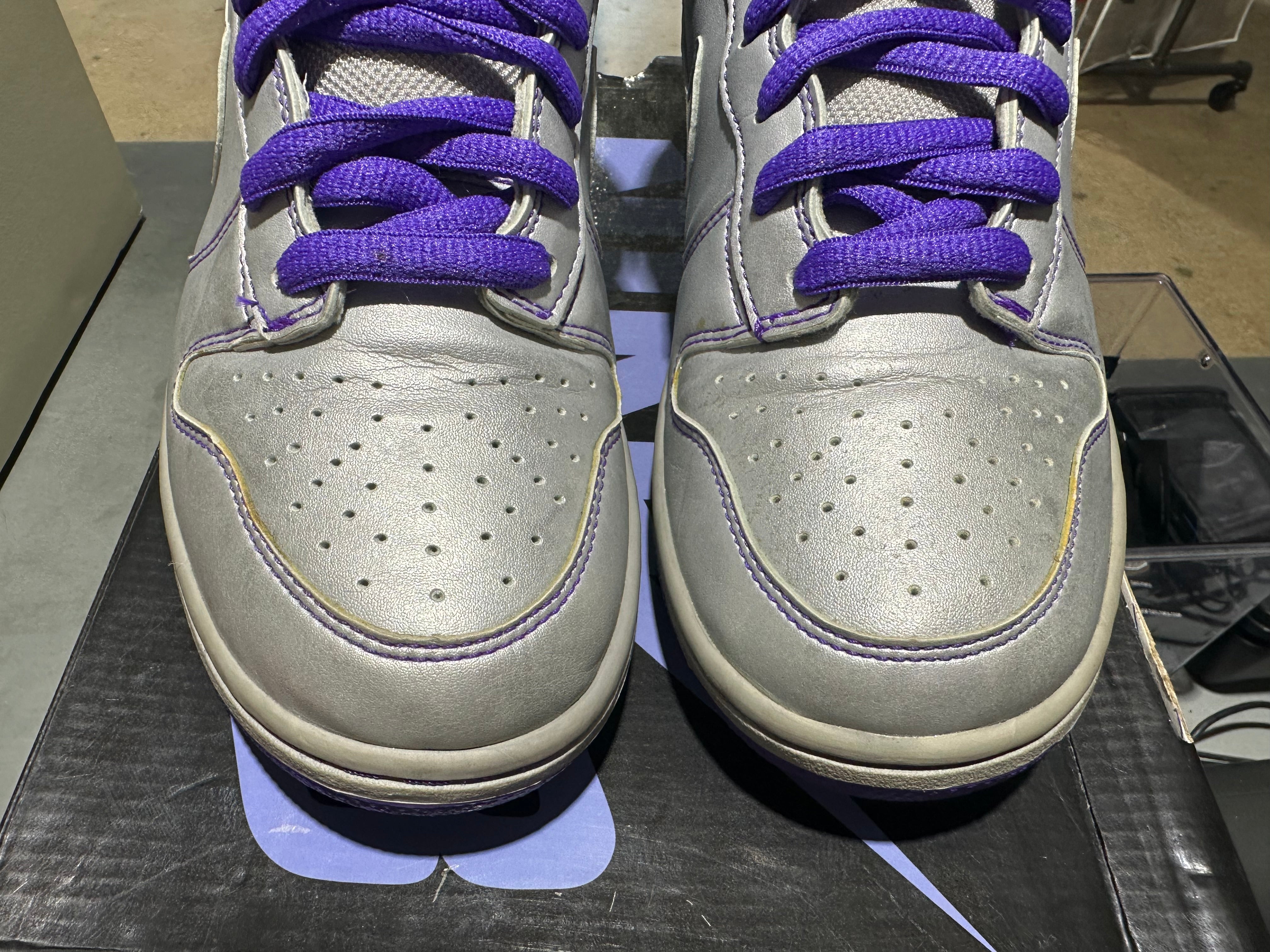 Nike SB Dunk High Premium SB - Dino Jr Size 8.5