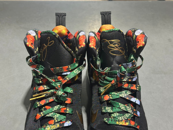 Nike Lebron 9 - Watch The Throne Size 9.5