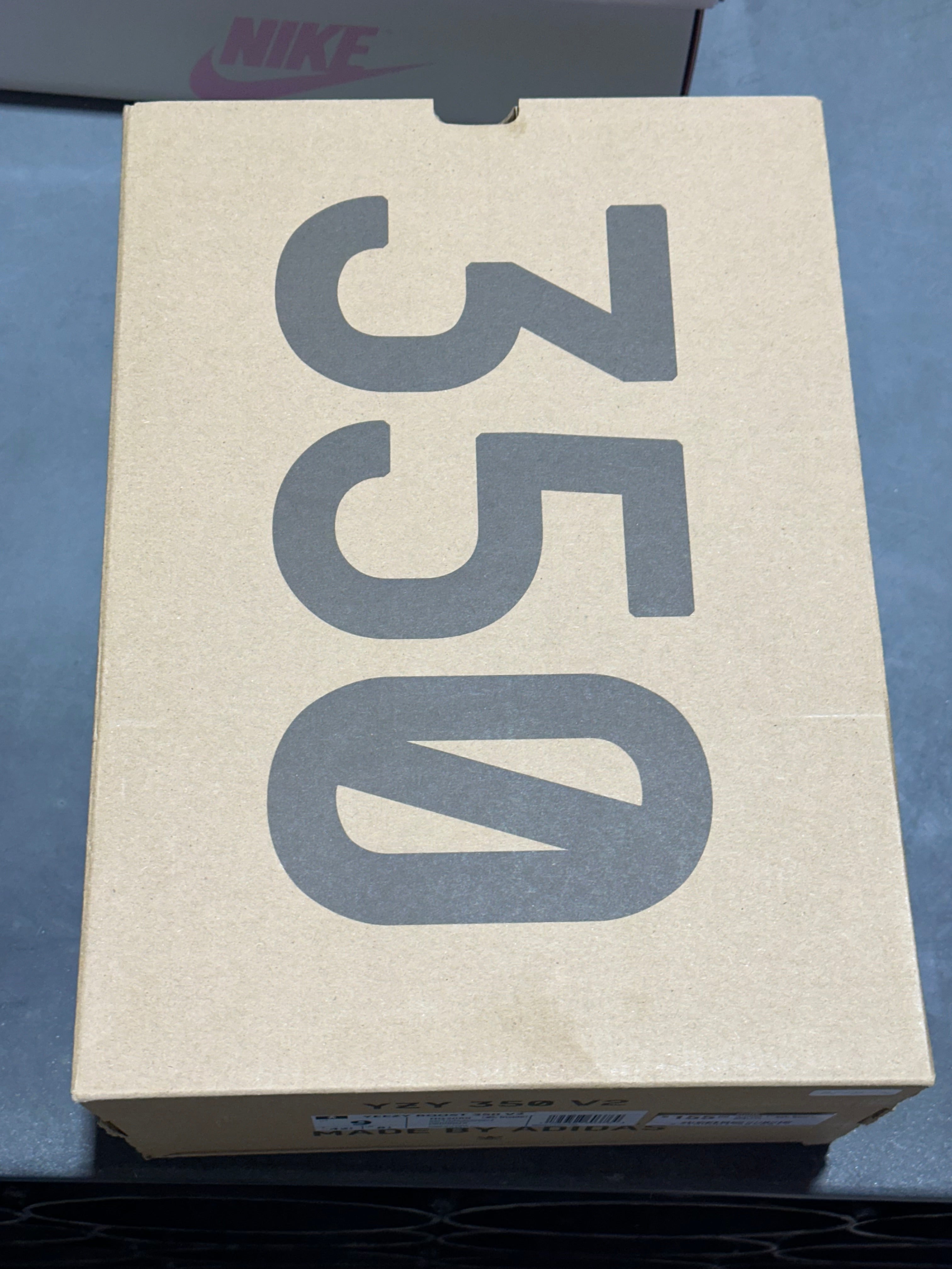 Adidas Yeezy Boost 350 V2 - Salt Size 9