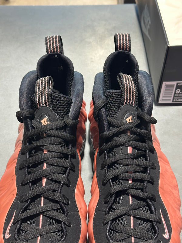 Nike Air Foamposite One - Rust Pink Size 9.5
