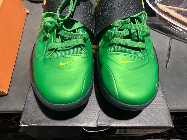 Nike KD 4 - Weatherman Size 11.5