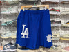 NEW Eric Emanuel x LA Dodgers Mesh Shorts - Blue Size XL