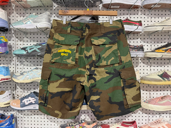 USED GV Gallery Raspberry Hills Army Shorts Size Medium