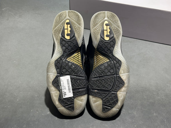 Nike Lebron 9 - Watch The Throne Size 9.5