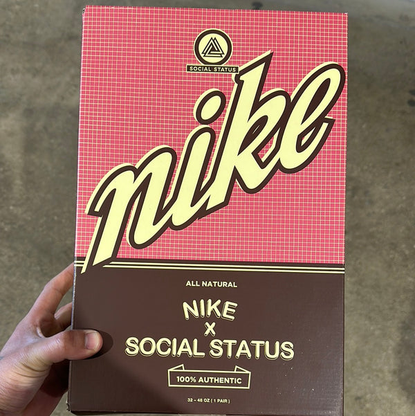 Nike Dunk / SS Mid - Chocolate Milk Size 10