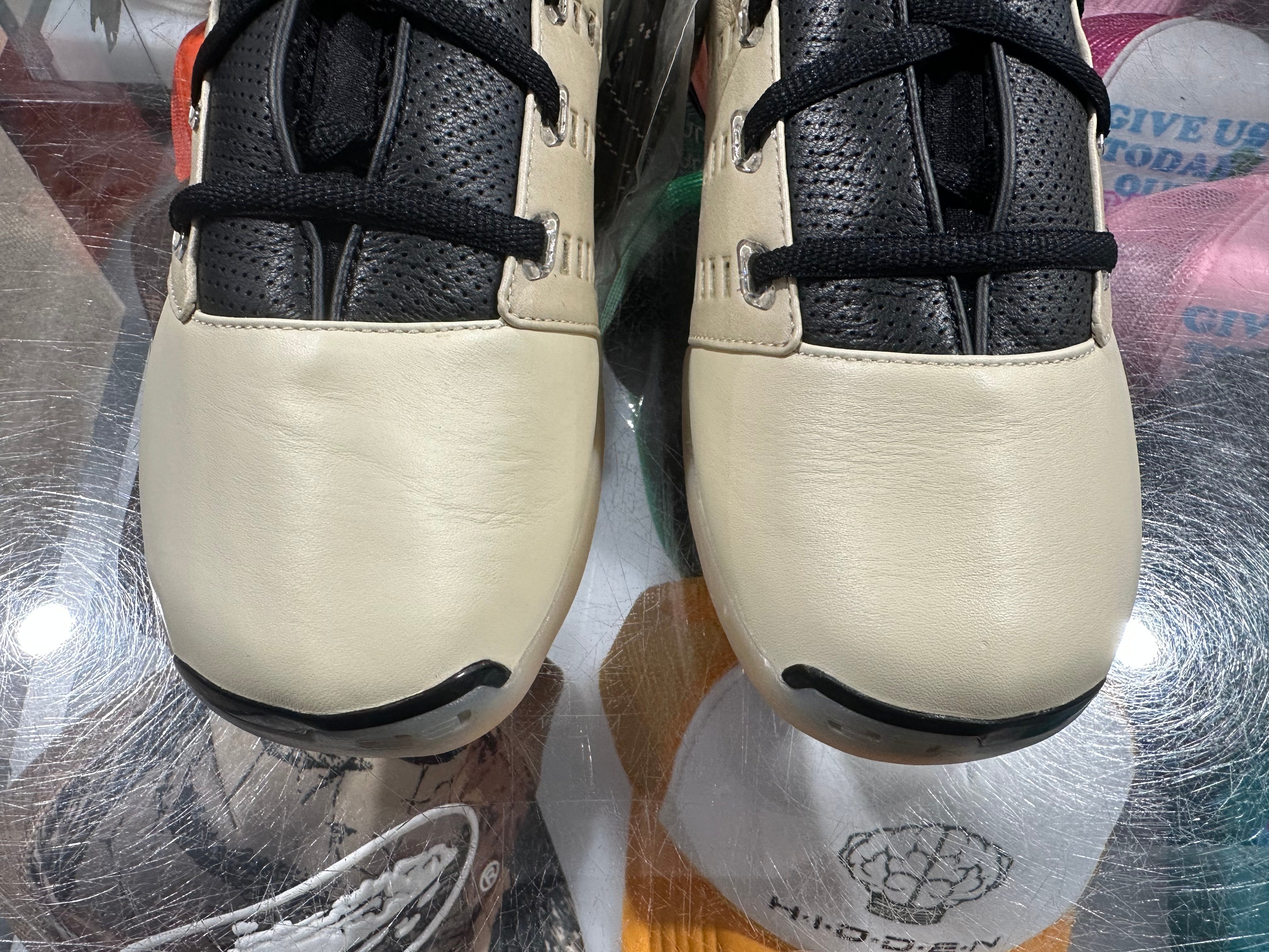 Air Jordan 17 Retro Low SP - Infinite Archives  Size 10