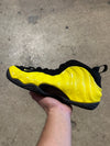 Nike Air Foamposite One - Wu Tang Size 10