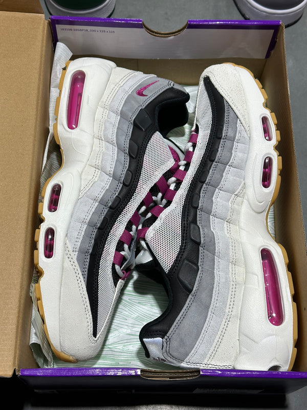 Nike Air Max 95 SB - Cactus Flower Size 10