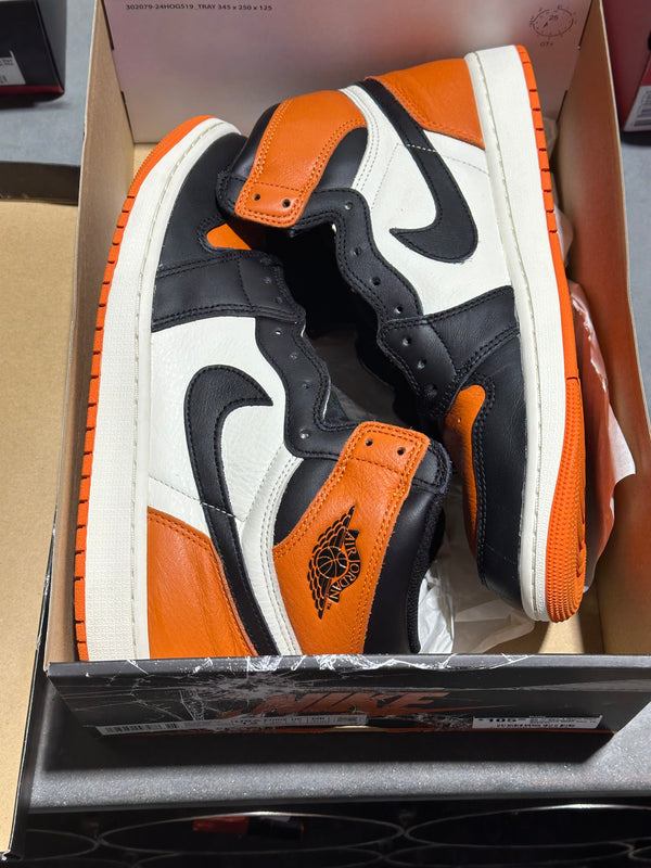shattered backboards size 12