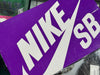 Nike SB Dunk Low Pro - Reverse Papa Bear Size 8.5