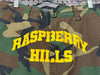 USED GV Gallery Raspberry Hills Army Shorts Size Medium