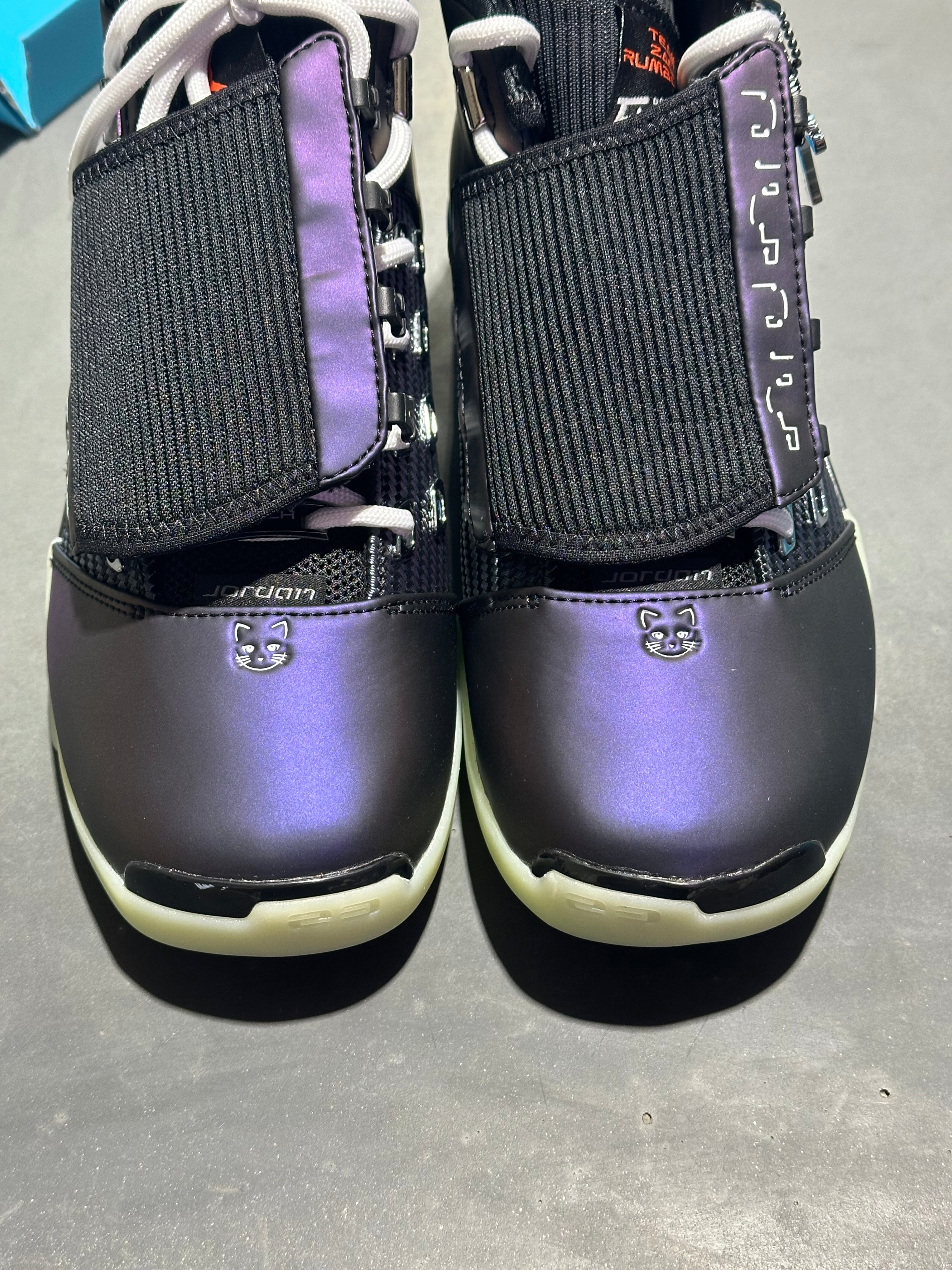 Air Jordan 17 Retro DB21 - Doernbecher Size 9.5