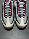 Nike Air Max 95 SB - Cactus Flower Size 10