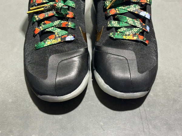 Nike Lebron 9 - Watch The Throne Size 9.5