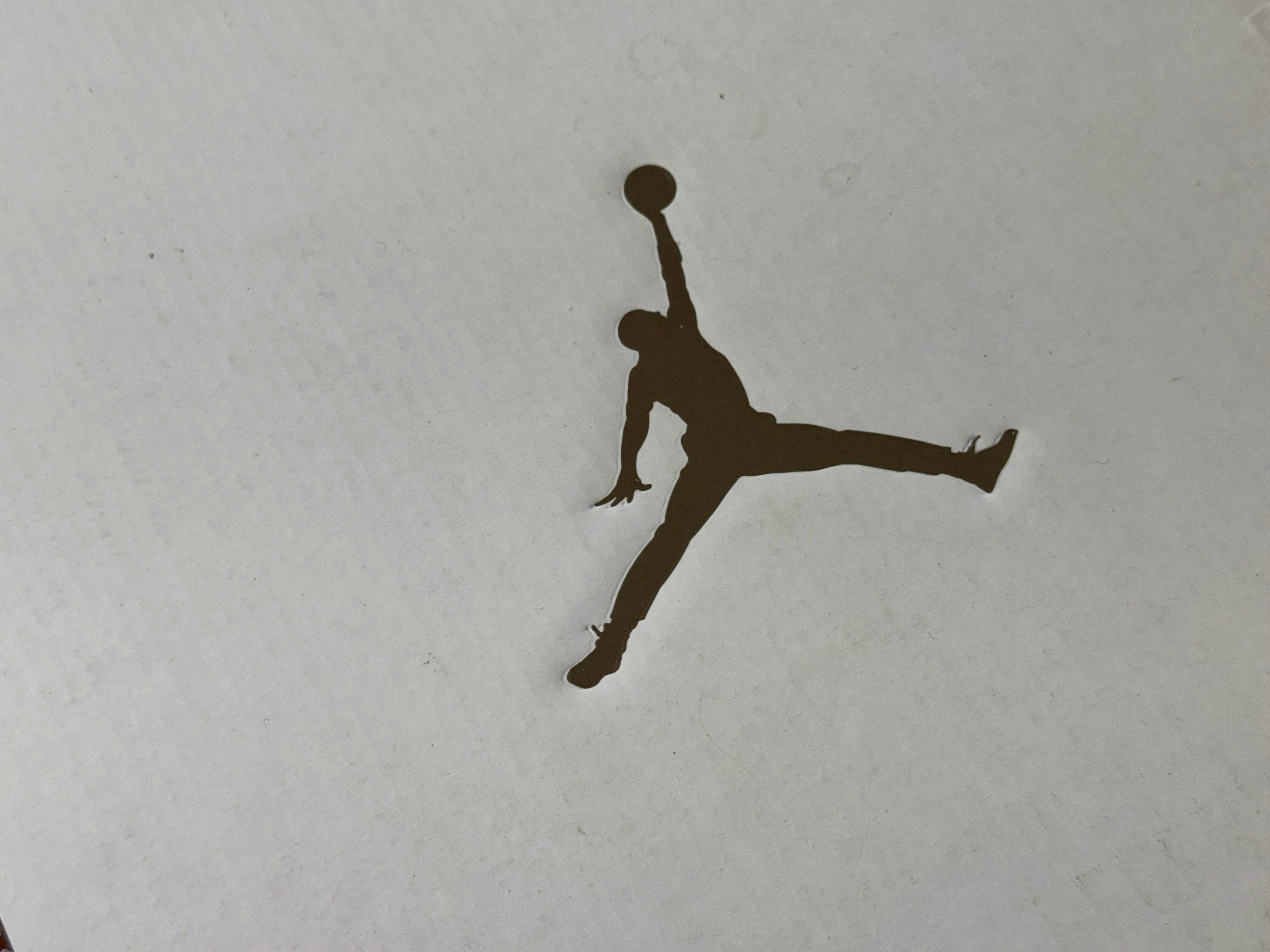 Air Jordan 3 Retro - Palomino Size 11.5