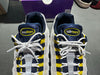 Nike Air Max 95 SB - Koston/Michigan Size 10.5