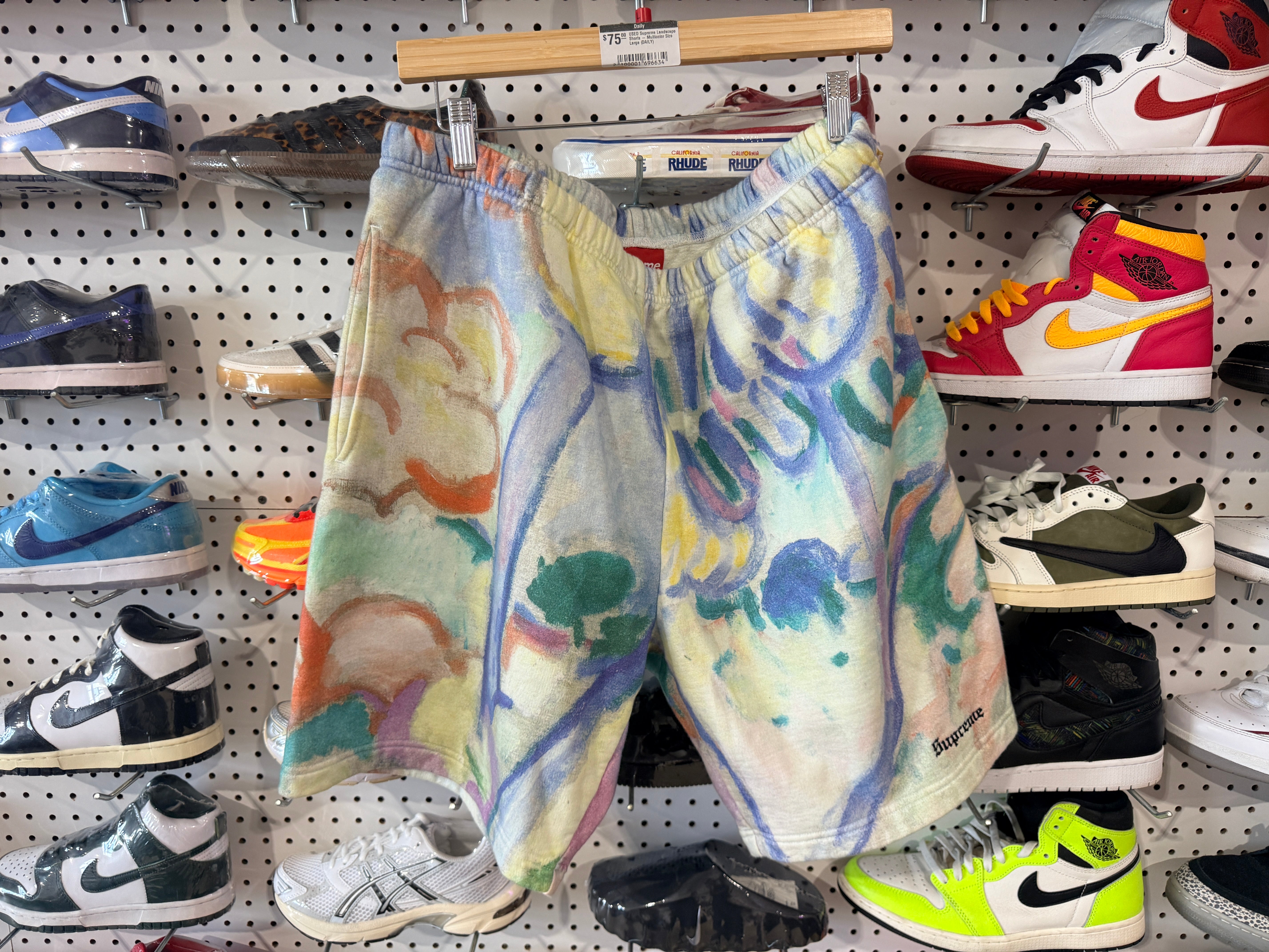 USED Supreme Landscape Shorts - Multicolor Size Large