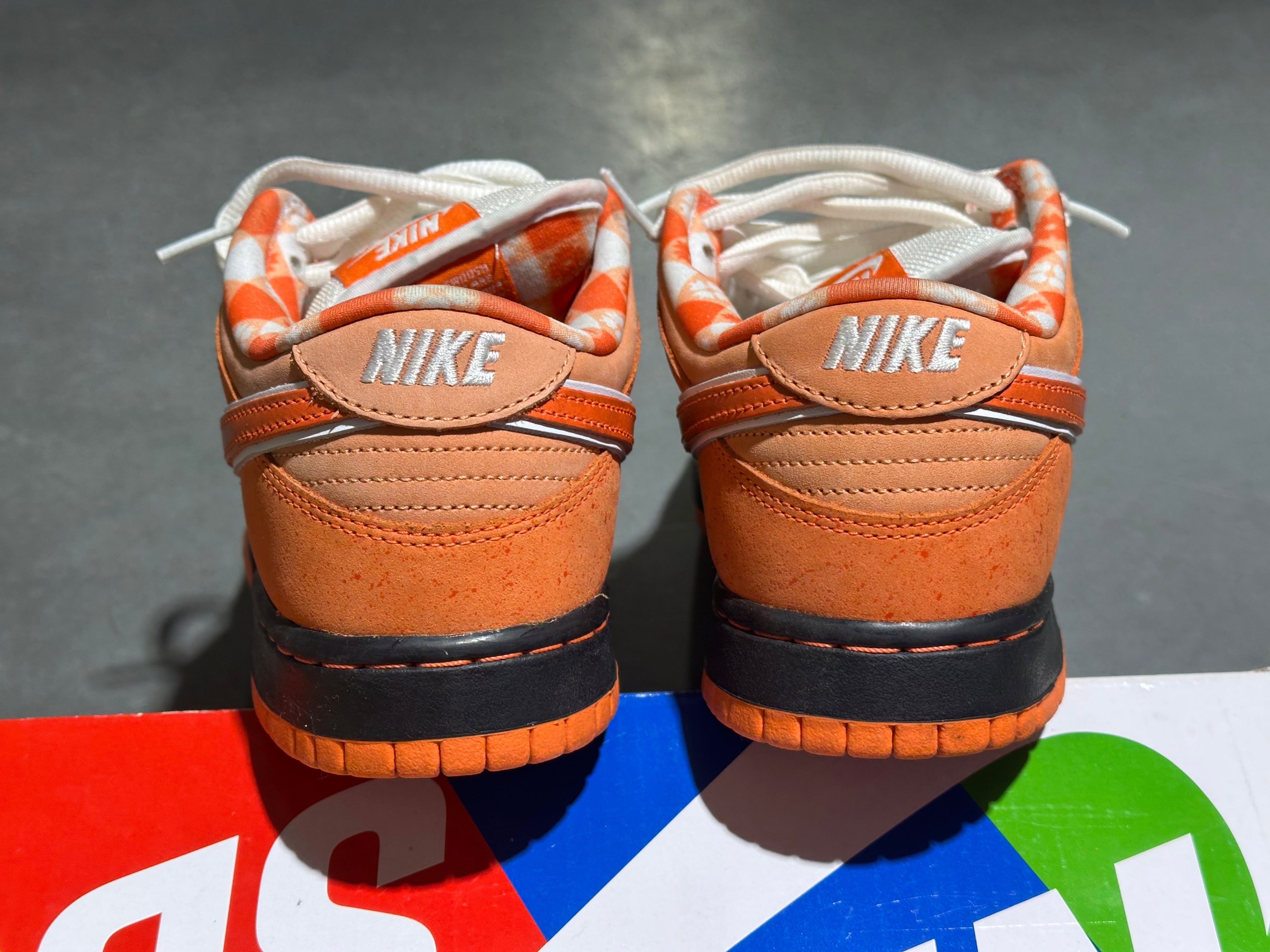 Nike SB Dunk Low Concepts - Orange Lobster Size 8