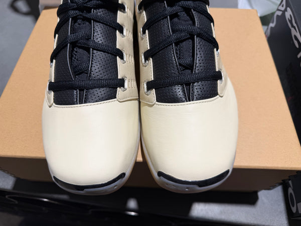 Air Jordan 17 Retro Low SP - Infinite Archives Size 11