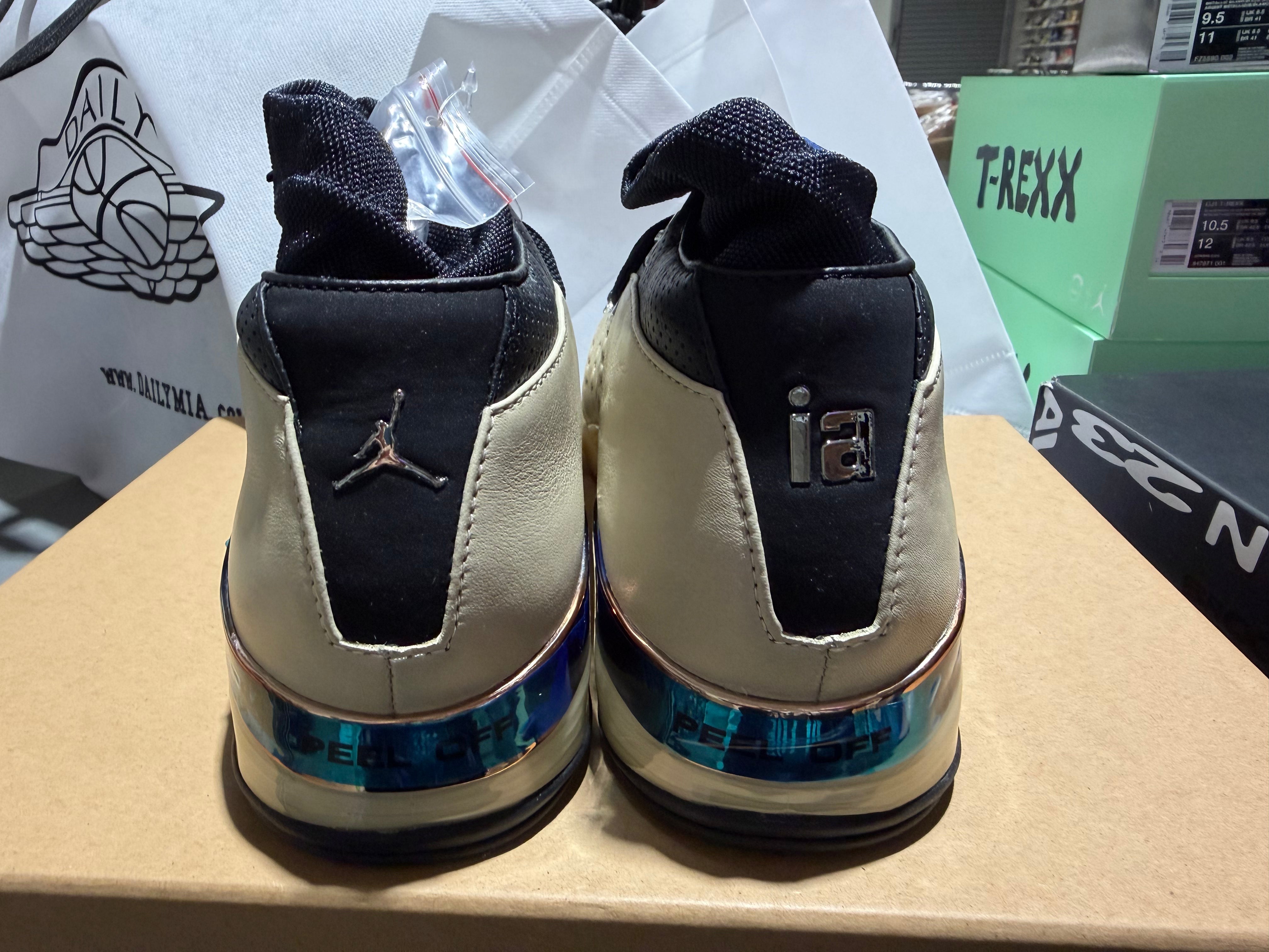 Air Jordan 17 Retro Low SP - Infinite Archives Size 11