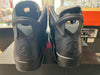 Air Jordan 6 Retro - All-Star Chameleon 2017 Size 10.5