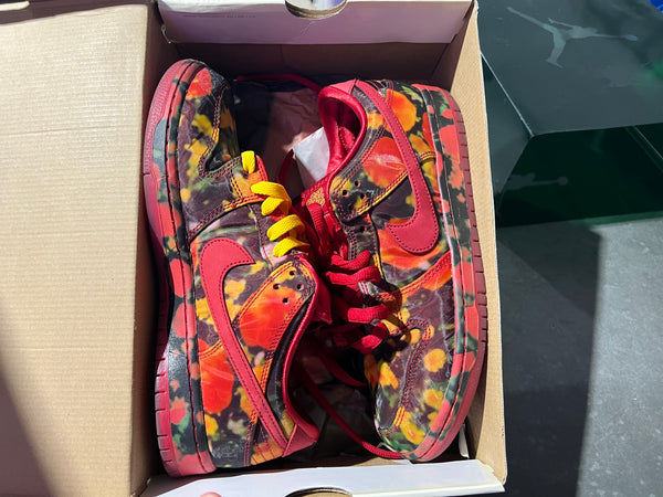 Nike SB Dunk Low Pro WOO QS - Wizard Of Oz Size 9.5
