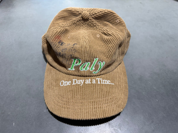 NEW Paly Confessions Low Profile Hat -Brown